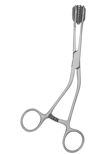 Young Tongue Holding Forceps