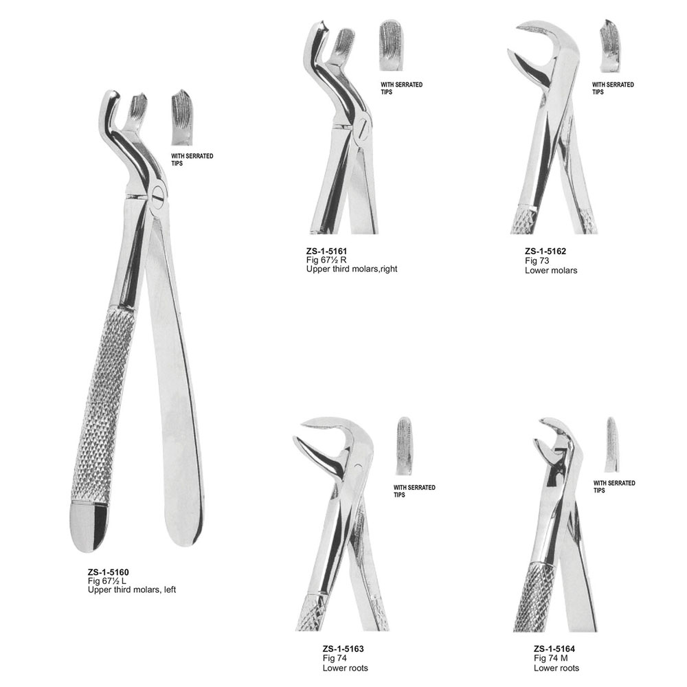 Extracting Forceps